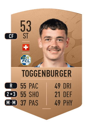 Nando Toggenburger