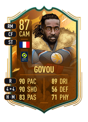 Govou - 87 - World Cup Hero