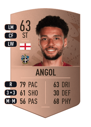 Lee Angol
