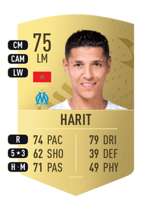 Amine Harit
