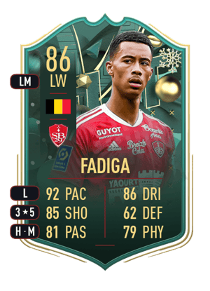 Fadiga - 86 - WINTER WILDCARDS