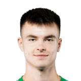 Wiktor Pleśnierowicz