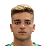 Alessandro Tripaldelli