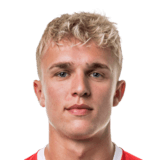 Niclas Holm Pedersen