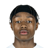 Yvandro Borges Sanches