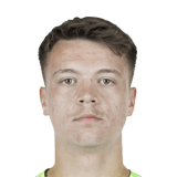 Dženan Pejčinović