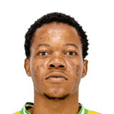 Mkhulise