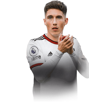Harry Wilson
