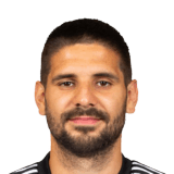 Aleksandar Mitrović