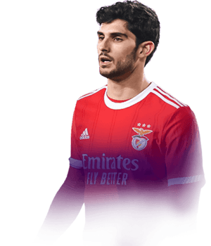 Gonçalo Guedes