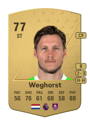 Wout Weghorst
