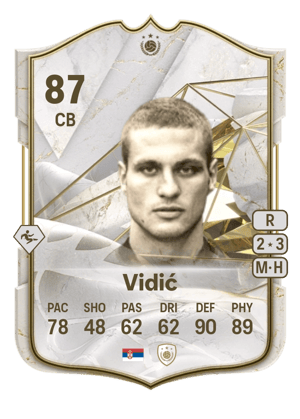 Vidić - 87 - Icon