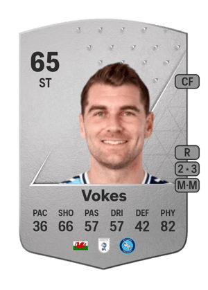 Sam Vokes