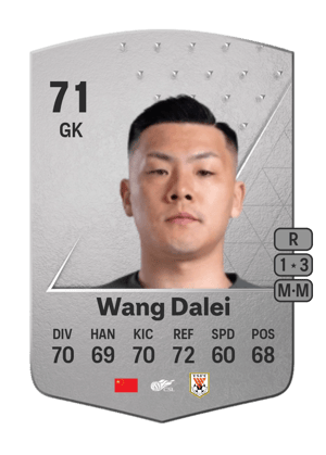 Wang Dalei