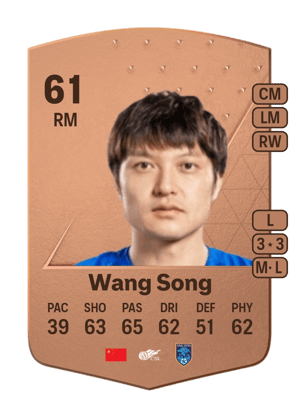 Wang Song