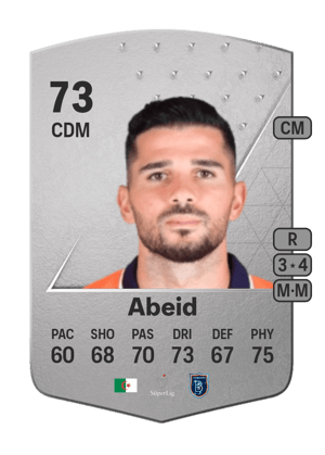 Mehdi Abeid