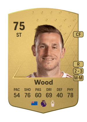 Chris Wood