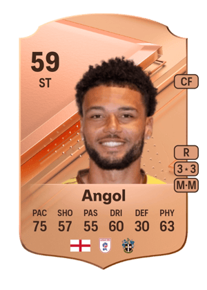 Lee Angol