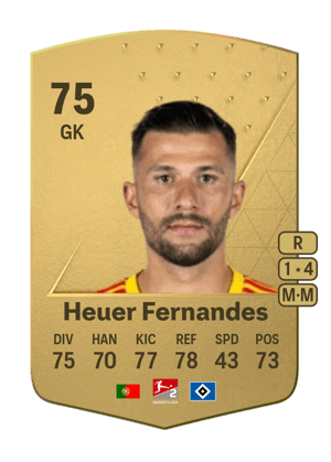 Daniel Heuer Fernandes