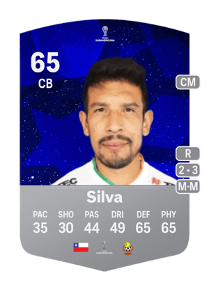 Sebastián Silva