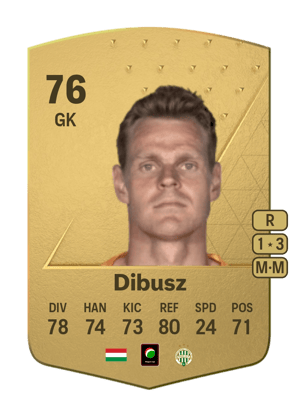 Dénes Dibusz