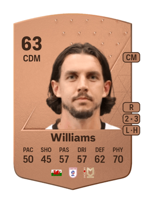 MJ Williams