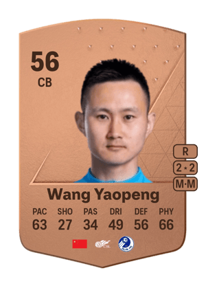 Wang Yaopeng