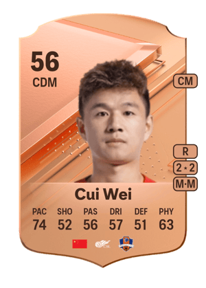 Cui Wei