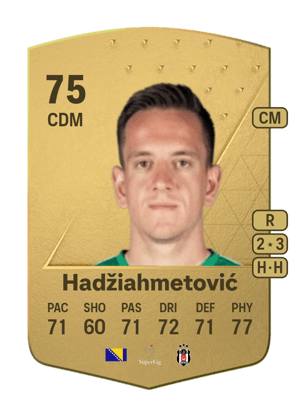 Amir Hadžiahmetović