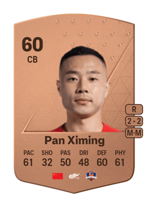 Pan Ximing