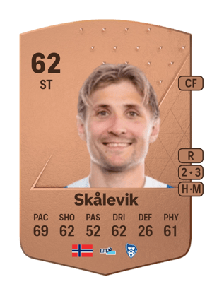 Steffen Lie Skålevik