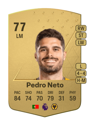 Pedro Neto