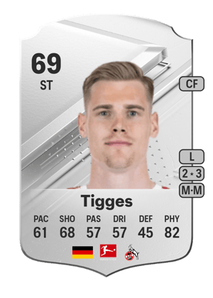Steffen Tigges