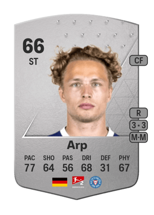Jann-Fiete Arp