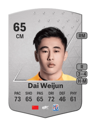 Dai Weijun