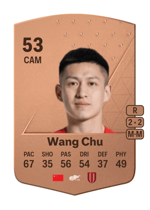 Wang Chu