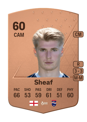Max Sheaf