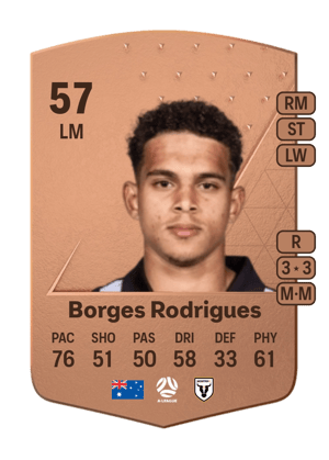 Raphael Borges Rodrigues