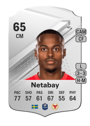 Nahom Girmai Netabay