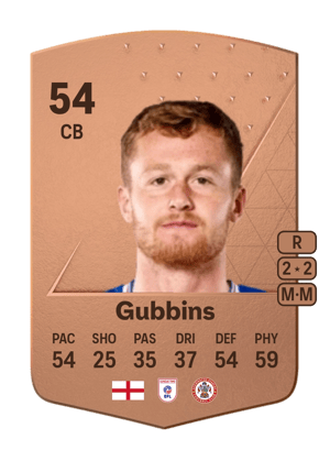 Joe Gubbins
