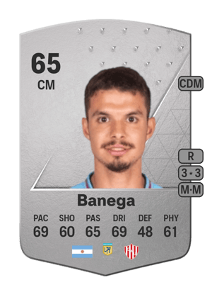 Tiago Banega