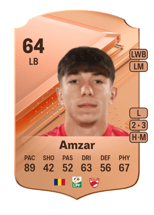 Costin Amzar