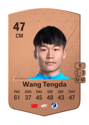 Wang Tengda