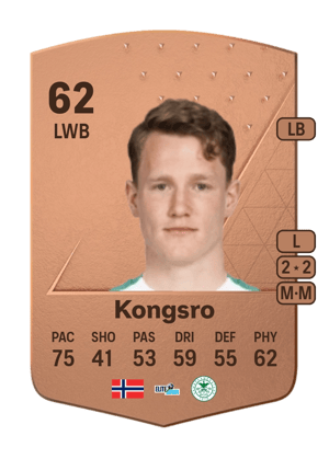 Vegard Kongsro