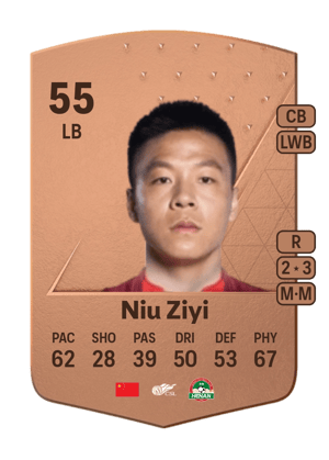Niu Ziyi