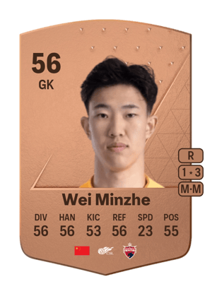 Wei Minzhe
