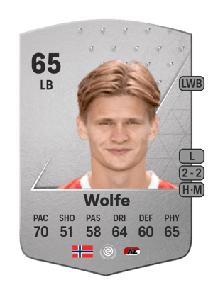 David Møller Wolfe