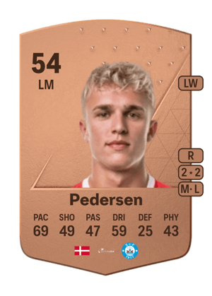 Niclas Holm Pedersen