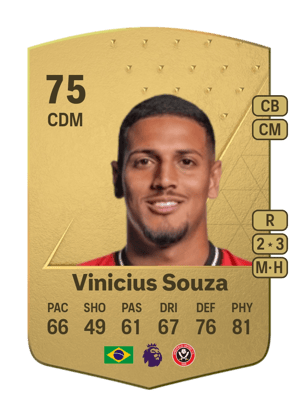 Vinicius Souza