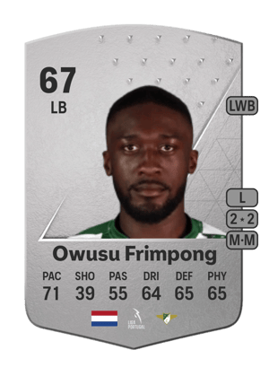 Godfried Ayesu Owusu Frimpong